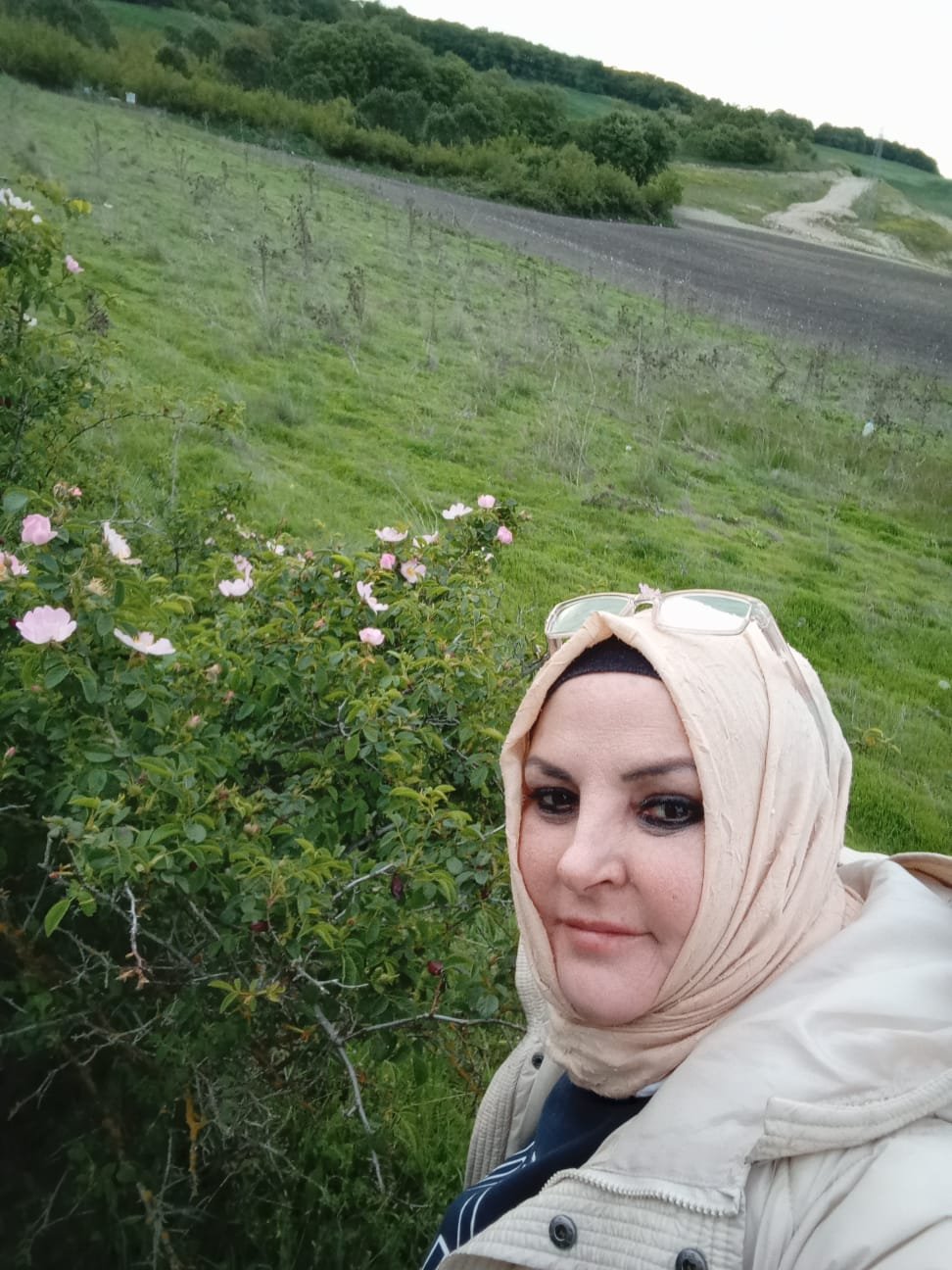 Arılık - Polen toplama